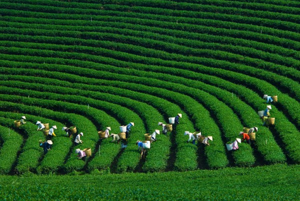 HÀ NỘI- MỘC CHÂU- SƠN LA- ĐIỆN BIÊN 4 NGÀY 3 ĐÊM
