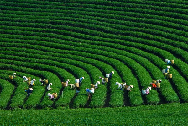 HÀ NỘI- MỘC CHÂU- SƠN LA- ĐIỆN BIÊN 4 NGÀY 3 ĐÊM