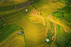HÀ NỘI – MÙ CANG CHẢI – NGỌC CHIẾN– HÀ NỘI 2026