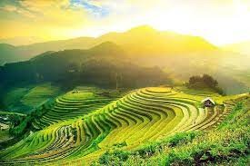 HÀ NỘI – MÙ CANG CHẢI – HÀ NỘI  2 NGÀY 1 ĐÊM CHƯƠNG TRÌNH GROUP TOUR 2024