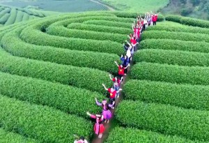 HÀ NỘI -MAI CHÂU- MỘC CHÂU 2024