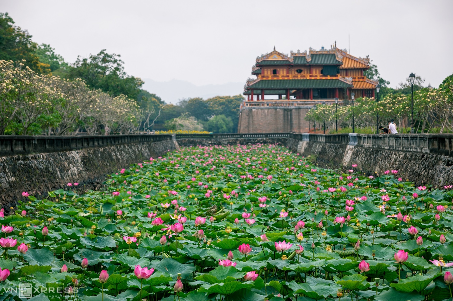 HÀ NỘI-XỨ HUẾ MỘNG MƠ- HÀ NỘI 3 NGÀY 2 ĐÊM (Quý II-III/2024)